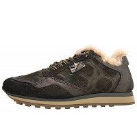 CETTI - INV27 - sportlicher Schnürer - ante cocco coffee pelo