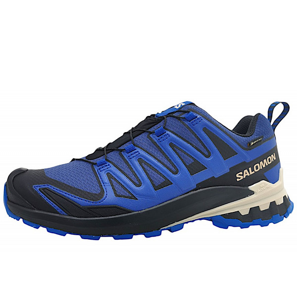 Salomon XA Pro 3D GTX Wanderschuh Blue