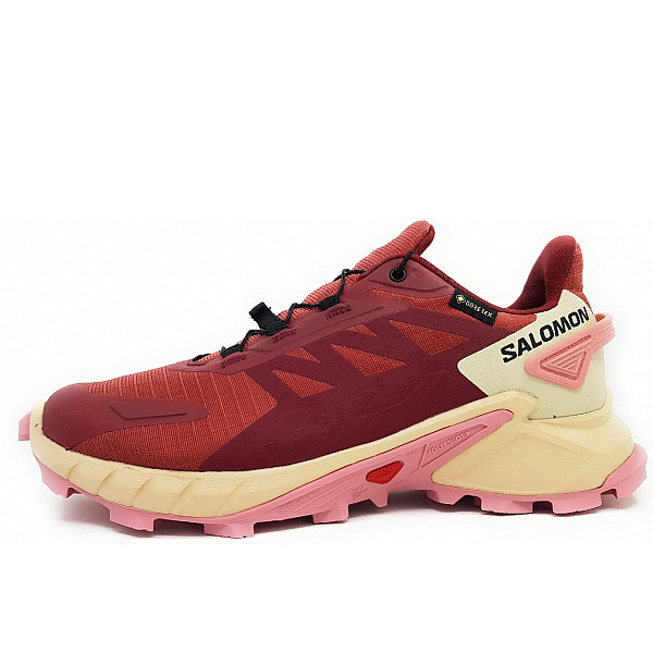 Salomon Supercross 4 GTX W Wanderschuh cow hide/ syrah blush