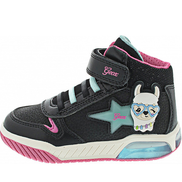 Geox Sneaker high black-aqua