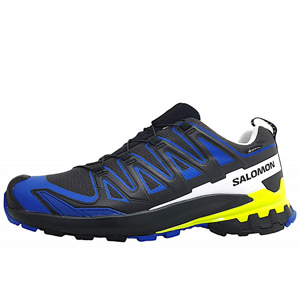 Salomon XA Pro 3D GTX Wanderschuh Black Surf