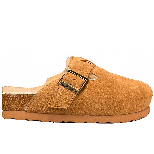 Haflinger chestnut
