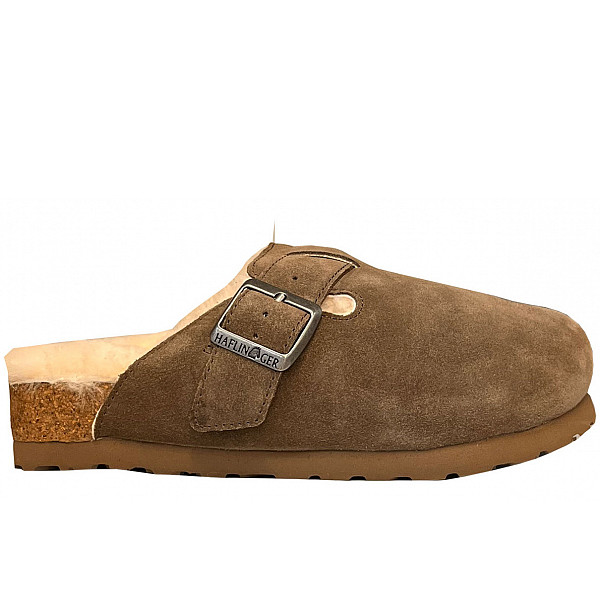 Haflinger shitake