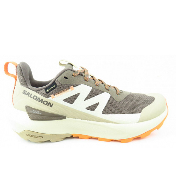 Salomon Elixir Activ GTX W Lauflernschuh beige