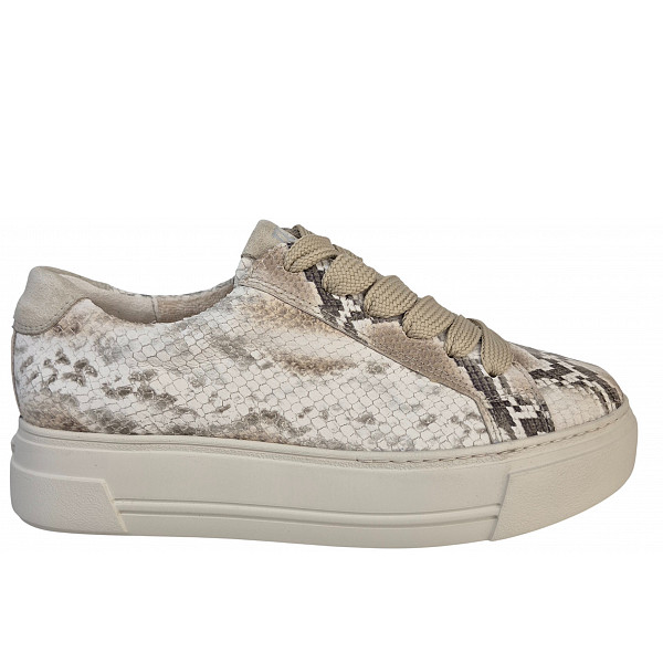 Paul Green FANTASIE LEDER sportlicher Schnürer BEIGE