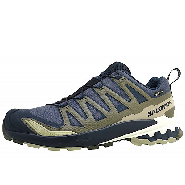 Salomon XA Pro 3D GTX Wanderschuh Indink