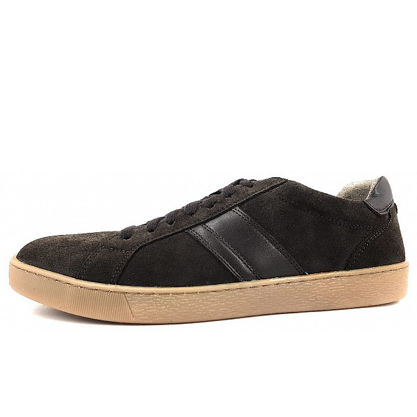 Pius Gabor Sneaker low ebony/ mocca