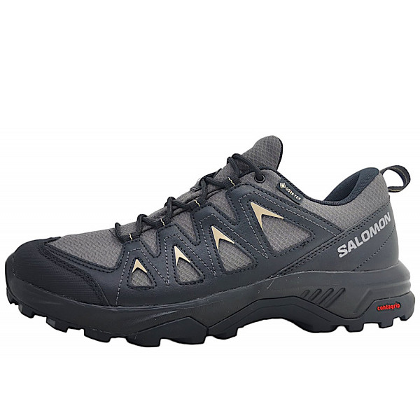 Salomon X Braze GTX Wanderschuh magnet/black/green