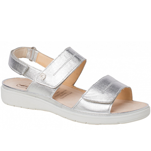 Ganter silver