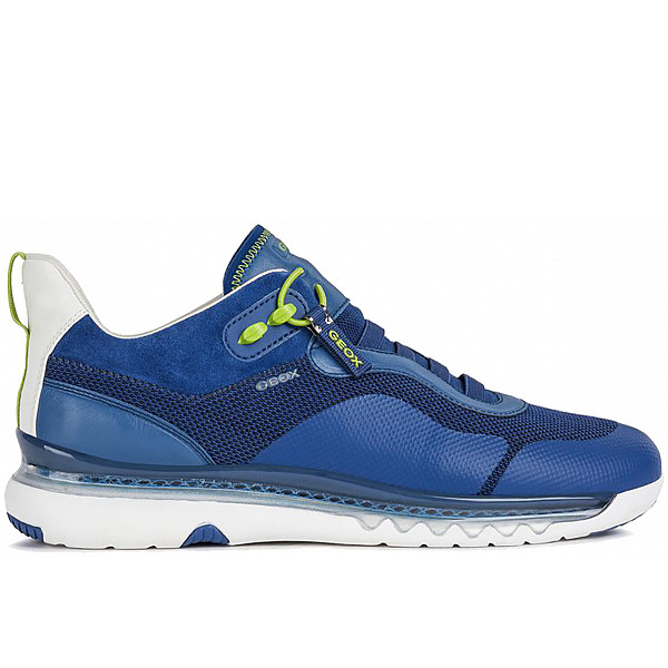 Geox Sneaker dark royal