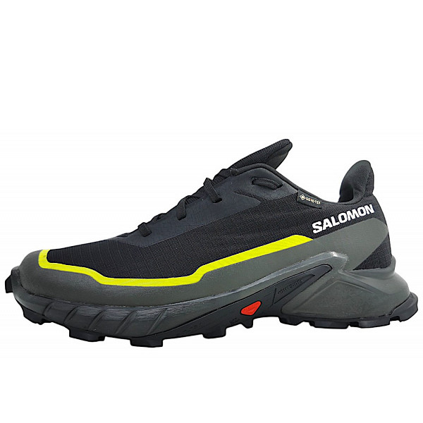 Salomon Alphacross 5GTX Wanderschuh black/peat/sulph